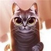 Аватар для Артем Вахитов